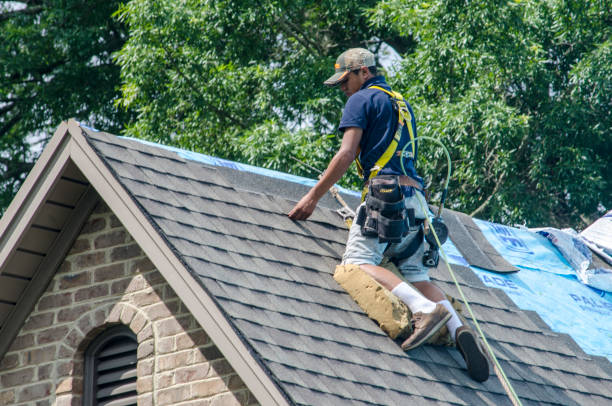 Best Roof Gutter Cleaning  in Leoti, KS
